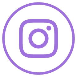 OC Cats Instagram